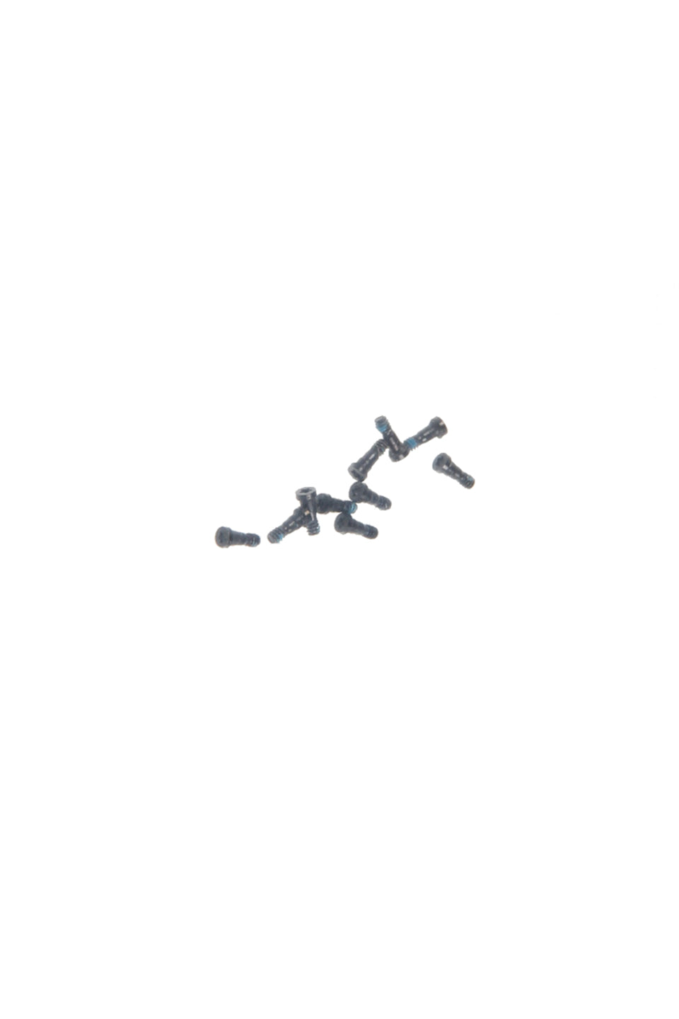 For iPhone 7 Bottom Screw Black / Jet Black Set (10pc)